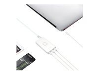 DICOTA Universal Notebook Charger USB-C - Adaptateur secteur - 40 Watt - connecteurs de sortie : 3 - blanc D31720