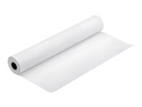 Epson Production Canvas Matte - Mat - Rouleau (111,8 cm x 12,2 m) 1 rouleau(x) papier toilé - pour Stylus Pro 11880, Pro 9700, Pro 9890; SureColor SC-P20000, SC-T7000, SC-T7200 C13S045296